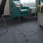 Hotell Thon Bjørneparken