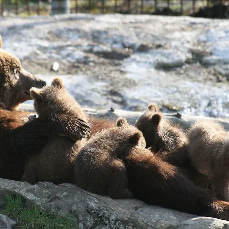 Thon Bjorneparken 4*